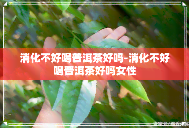 消化不好喝普洱茶好吗-消化不好喝普洱茶好吗女性