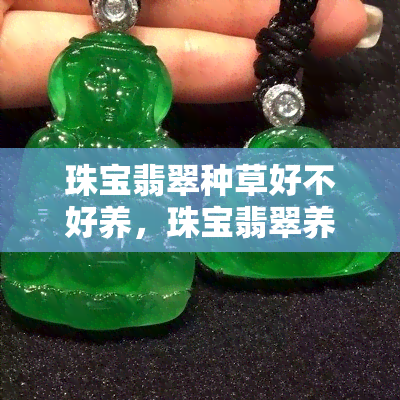 珠宝翡翠种草好不好养，珠宝翡翠养殖指南：如何种好你的翡翠宝贝？