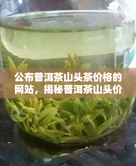 公布普洱茶山头茶价格的网站，揭秘普洱茶山头价格，一网打尽最新行情！