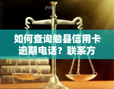 如何查询勉县信用卡逾期电话？联系方式是什么？