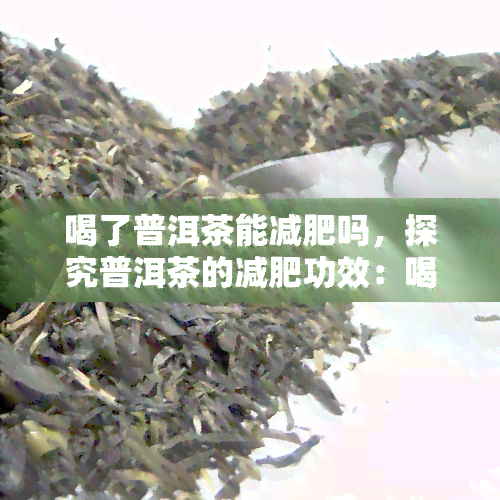 喝了普洱茶能减肥吗，探究普洱茶的减肥功效：喝普洱茶能否帮助你减重？