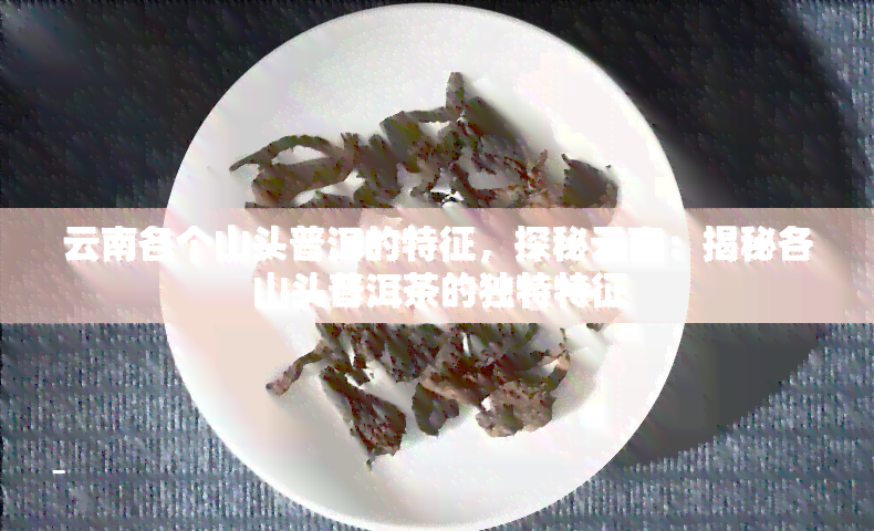 云南各个山头普洱的特征，探秘云南：揭秘各山头普洱茶的独特特征