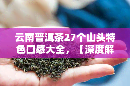 云南普洱茶27个山头特色口感大全，【深度解析】云南普洱茶27个山头特色口感，带你领略大山的韵味！