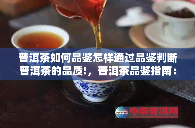 普洱茶如何品鉴怎样通过品鉴判断普洱茶的品质!，普洱茶品鉴指南：学会如何通过品鉴判断茶叶的品质！