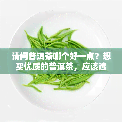 请问普洱茶哪个好一点？想买优质的普洱茶，应该选择哪个？