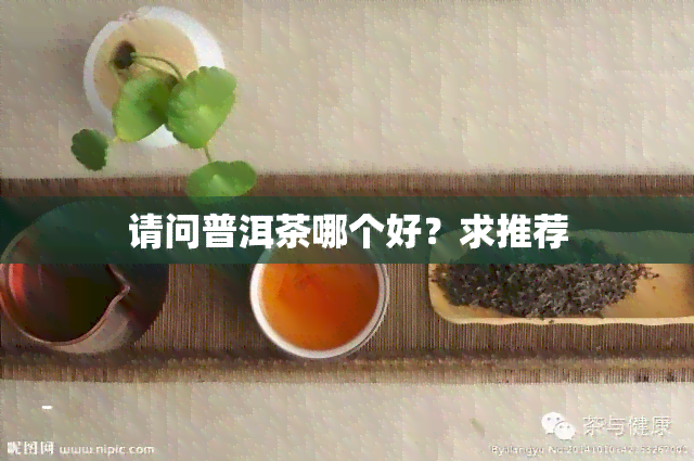 请问普洱茶哪个好？求推荐