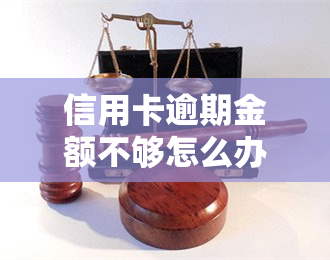 信用卡逾期金额不够怎么办，信用卡逾期还款：不足金额的解决方案