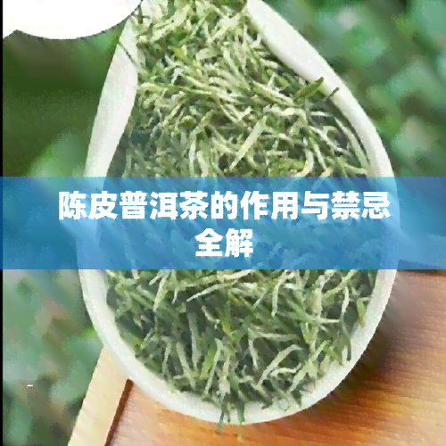 陈皮普洱茶的作用与禁忌全解