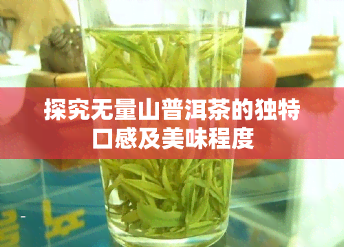 探究无量山普洱茶的独特口感及美味程度