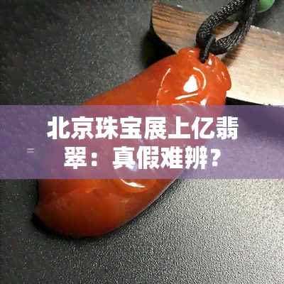 北京珠宝展上亿翡翠：真假难辨？