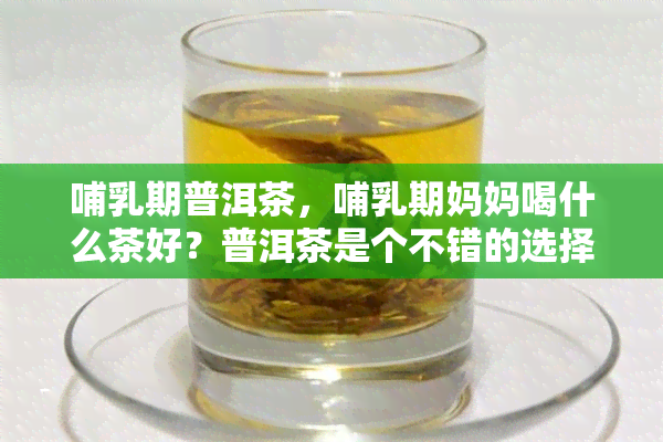 哺乳期普洱茶，哺乳期妈妈喝什么茶好？普洱茶是个不错的选择！