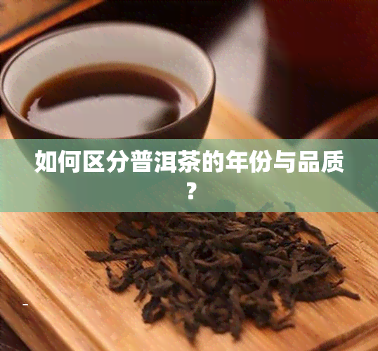 如何区分普洱茶的年份与品质？