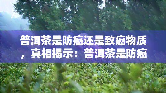 普洱茶是防癌还是致癌物质，真相揭示：普洱茶是防癌还是致癌物质？