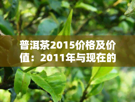 普洱茶2015价格及价值：2011年与现在的对比