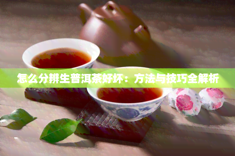 怎么分辨生普洱茶好坏：方法与技巧全解析