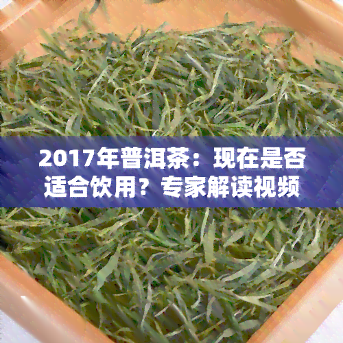 2017年普洱茶：现在是否适合饮用？专家解读视频全集