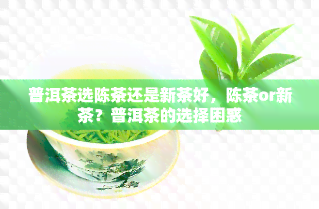 普洱茶选陈茶还是新茶好，陈茶or新茶？普洱茶的选择困惑