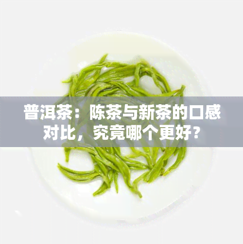 普洱茶：陈茶与新茶的口感对比，究竟哪个更好？