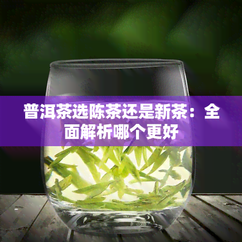 普洱茶选陈茶还是新茶：全面解析哪个更好