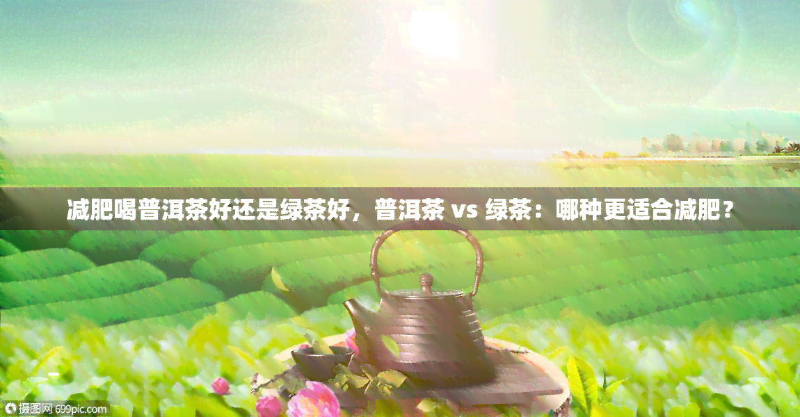 减肥喝普洱茶好还是绿茶好，普洱茶 vs 绿茶：哪种更适合减肥？