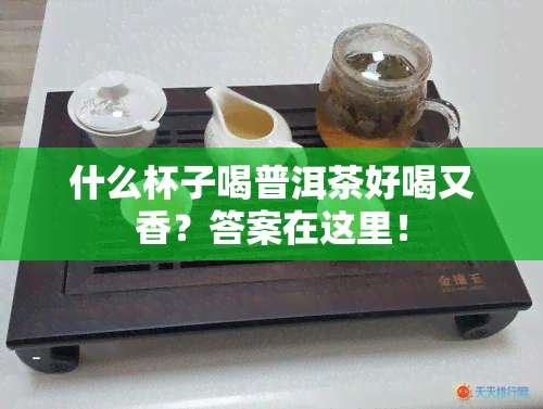 什么杯子喝普洱茶好喝又香？答案在这里！