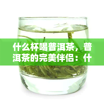 什么杯喝普洱茶，普洱茶的完美伴侣：什么杯最适合饮用？