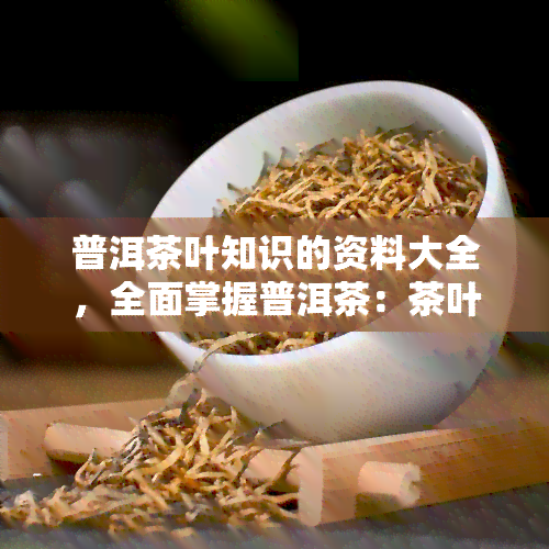 普洱茶叶知识的资料大全，全面掌握普洱茶：茶叶知识大全