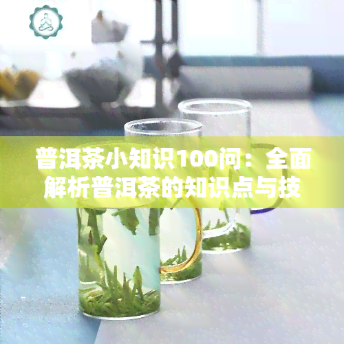 普洱茶小知识100问：全面解析普洱茶的知识点与技巧