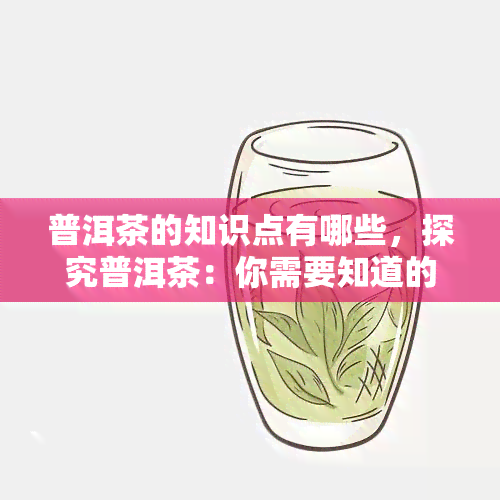 普洱茶的知识点有哪些，探究普洱茶：你需要知道的关键知识点