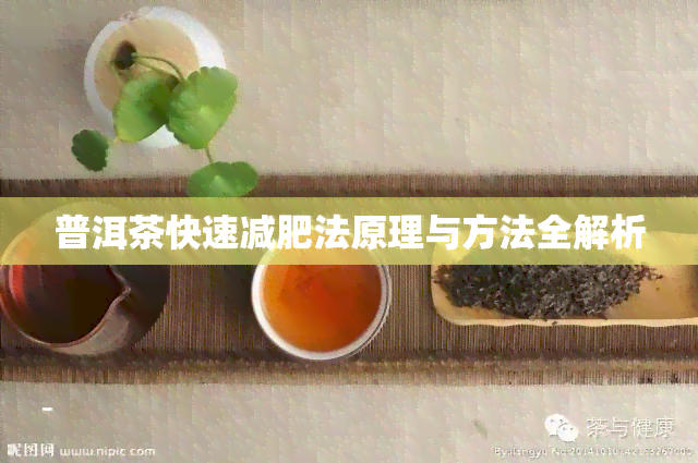 普洱茶快速减肥法原理与方法全解析