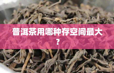 普洱茶用哪种存空间更大？