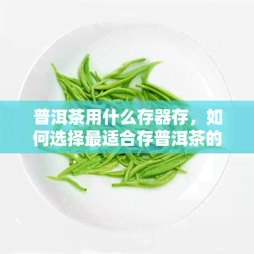 普洱茶用什么存器存，如何选择最适合存普洱茶的存器？