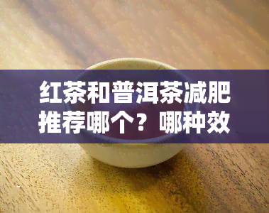 红茶和普洱茶减肥推荐哪个？哪种效果更佳？