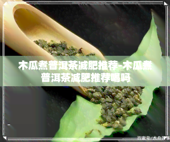 木瓜煮普洱茶减肥推荐-木瓜煮普洱茶减肥推荐喝吗