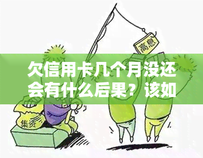 欠信用卡几个月没还会有什么后果？该如何处理？