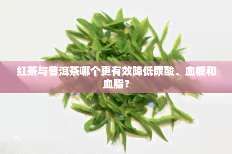 红茶与普洱茶哪个更有效降低尿酸、血糖和血脂？