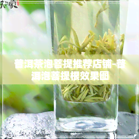 普洱茶泡菩提推荐店铺-普洱泡菩提根效果图