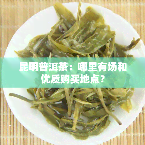 昆明普洱茶：哪里有场和优质购买地点？