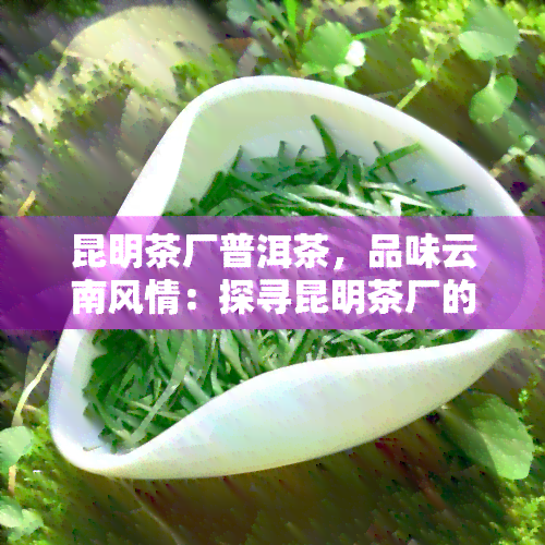 昆明茶厂普洱茶，品味云南风情：探寻昆明茶厂的普洱茶之旅