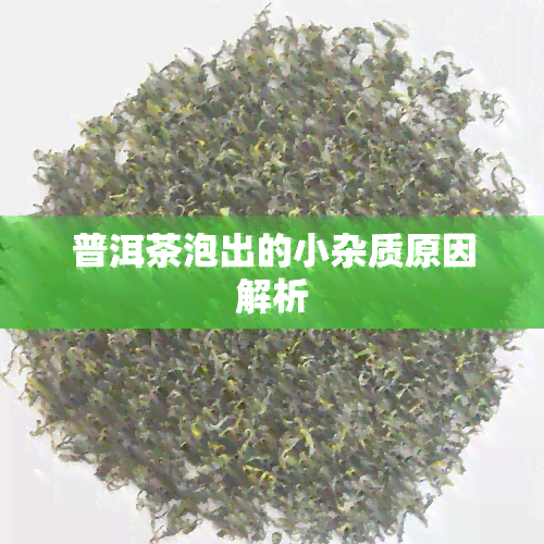 普洱茶泡出的小杂质原因解析