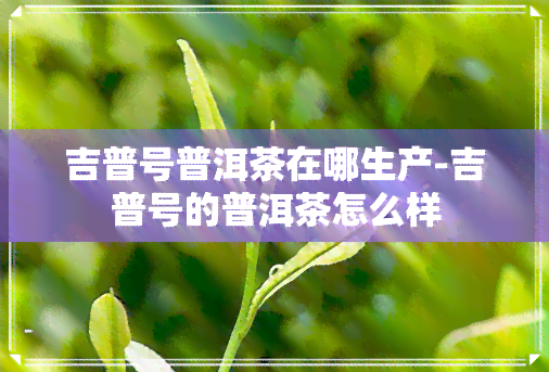 吉普号普洱茶在哪生产-吉普号的普洱茶怎么样