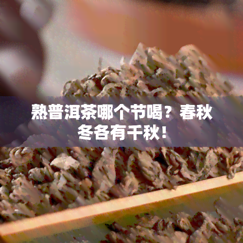 熟普洱茶哪个节喝？春秋冬各有千秋！