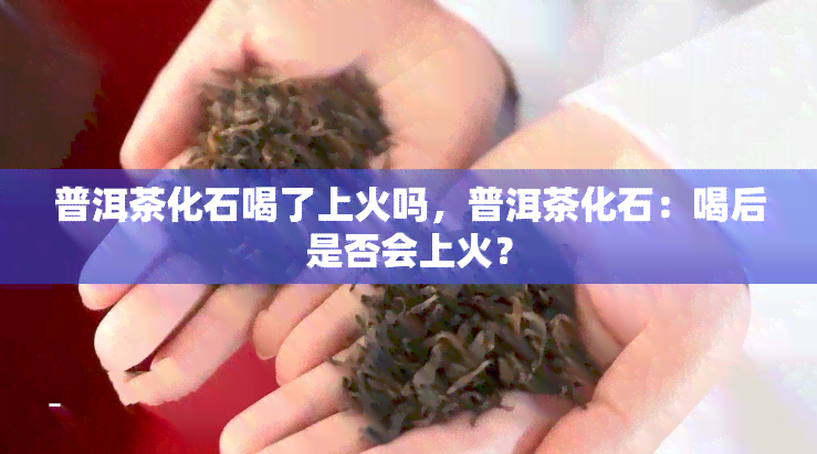 普洱茶化石喝了上火吗，普洱茶化石：喝后是否会上火？