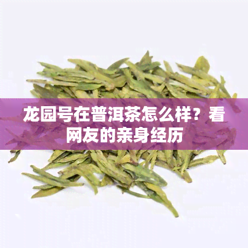 龙园号在普洱茶怎么样？看网友的亲身经历