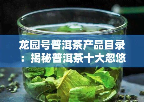 龙园号普洱茶产品目录：揭秘普洱茶十大忽悠名牌，深度解析龙园号普洱茶