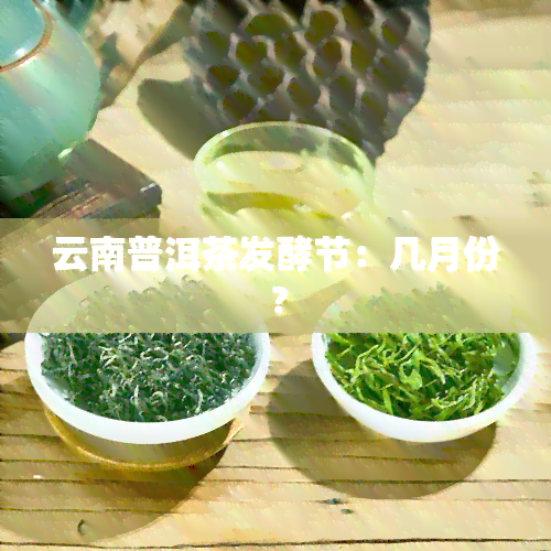 云南普洱茶发酵节：几月份？