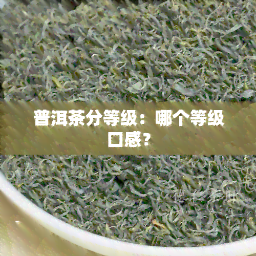 普洱茶分等级：哪个等级口感？