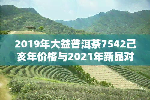 2019年大益普洱茶7542己亥年价格与2021年新品对比