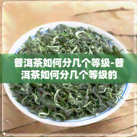 普洱茶如何分几个等级-普洱茶如何分几个等级的