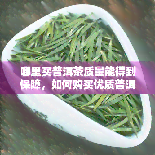 哪里买普洱茶质量能得到保障，如何购买优质普洱茶？保障质量的购买渠道解析